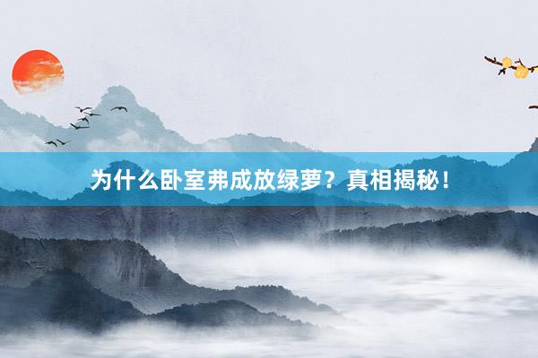 为什么卧室弗成放绿萝？真相揭秘！