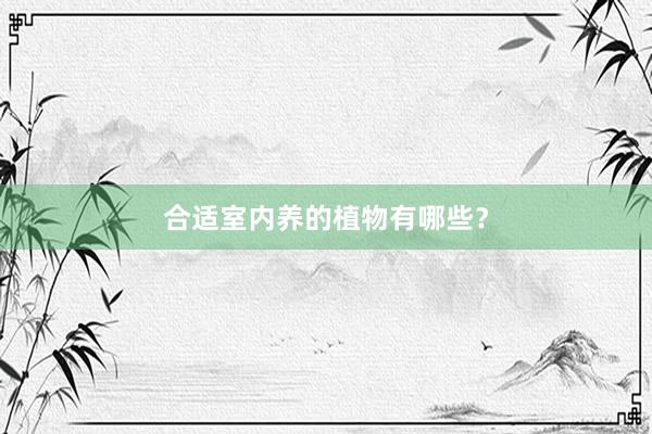 合适室内养的植物有哪些？